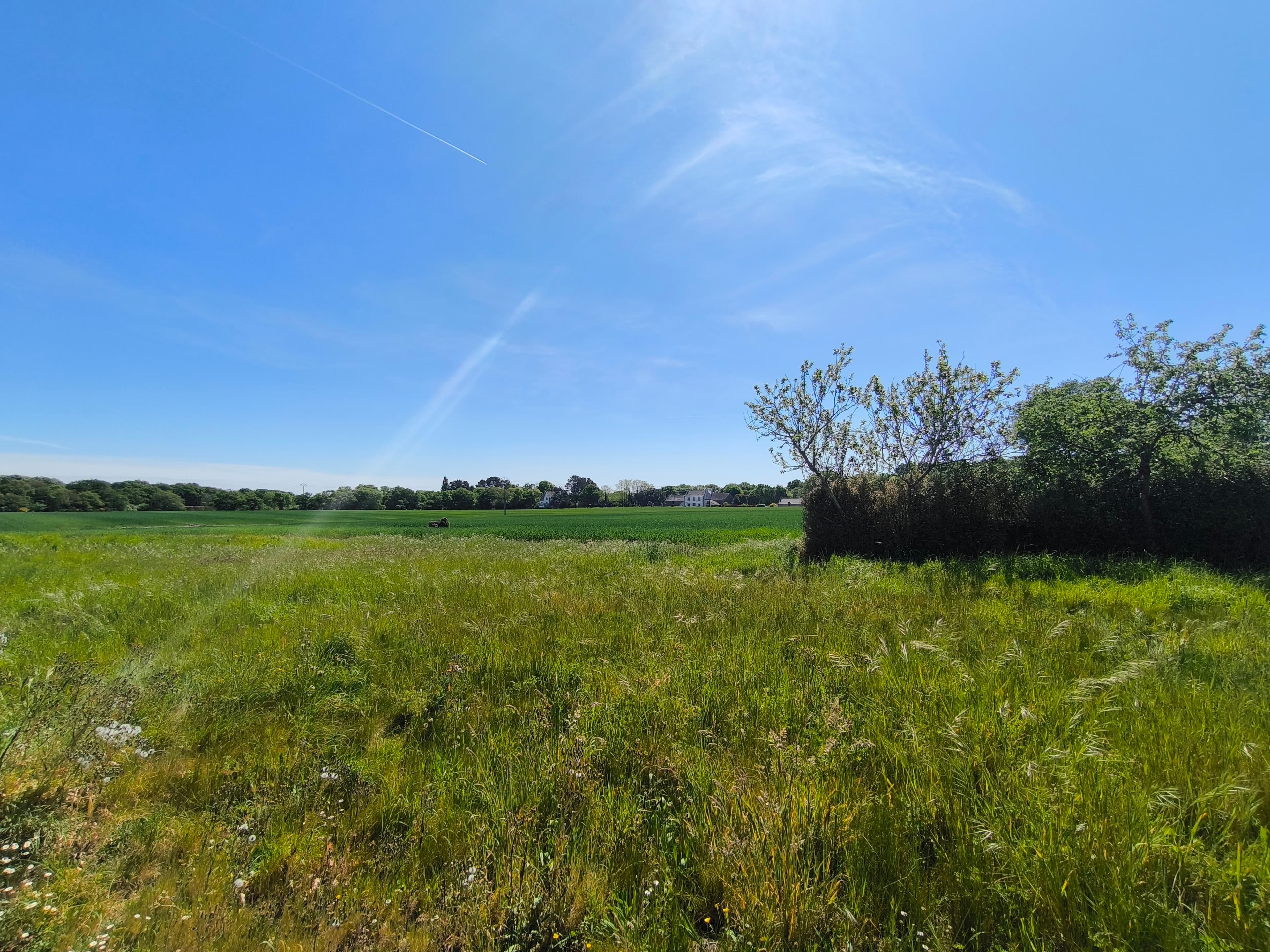 Terrain de 1200 m² à Belz